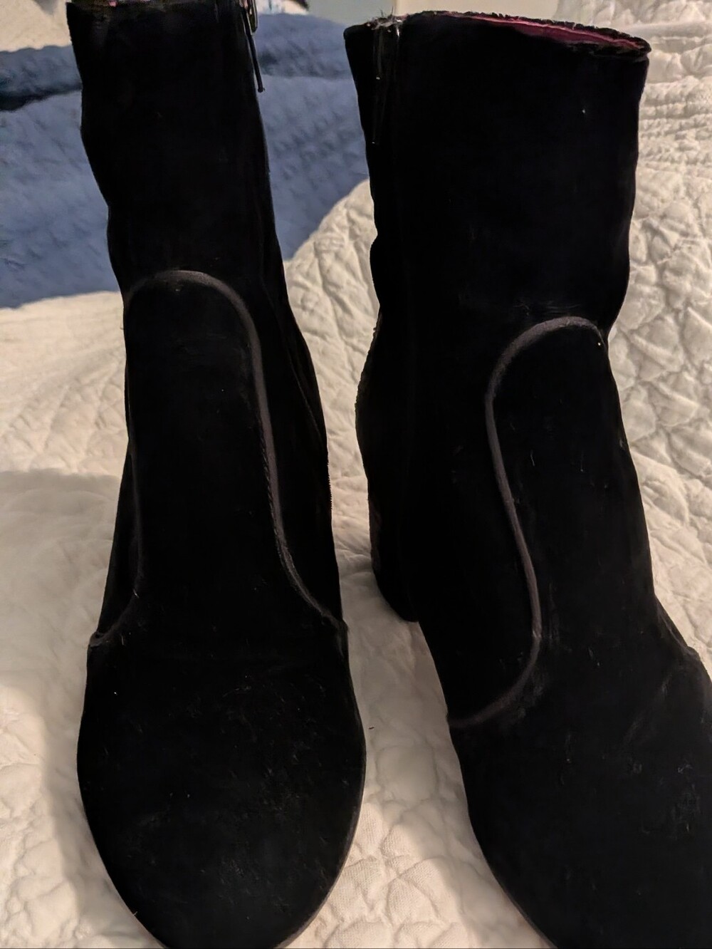 Maliparmi Black Velvet Booties